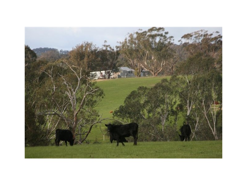 465 Watch Box Road, Barfold VIC 3444