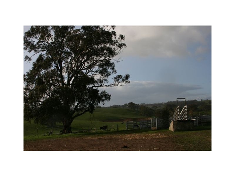 465 Watch Box Road, Barfold VIC 3444