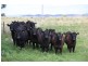 . Doolans Road, Darraweit Guim/Romsey, Darraweit Guim VIC 3756