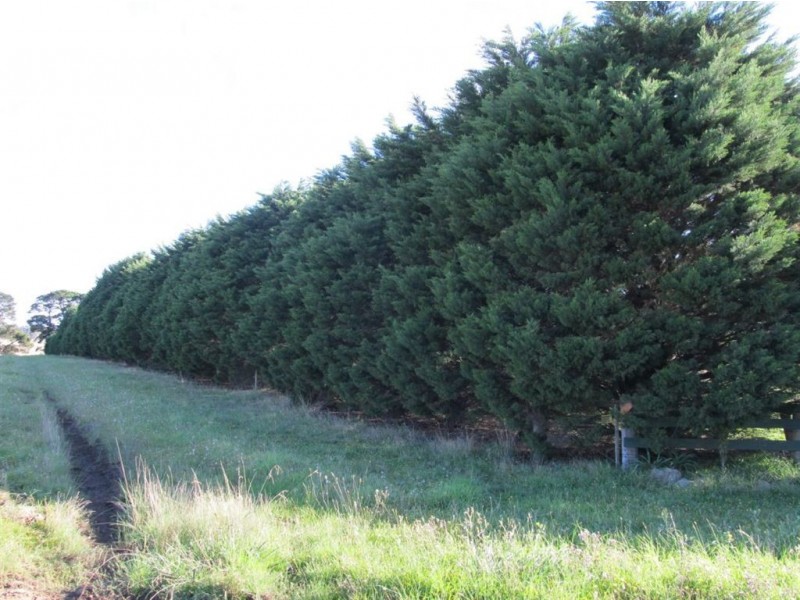 149 Corrigans Lane, Darraweit Guim VIC 3756