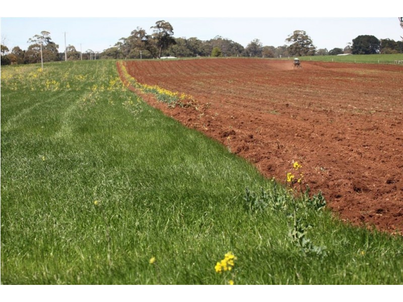 413 Kyneton – Trentham Road,, Trentham VIC 3458