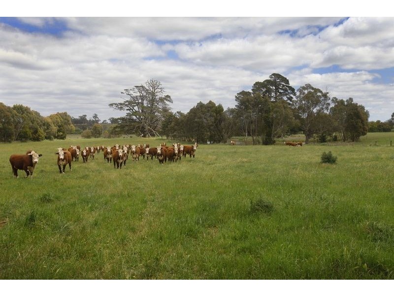 245 Cheveley Road, Woodend North VIC 3442