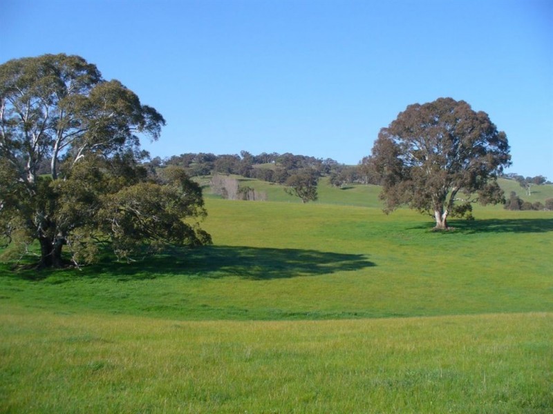 268 Metcalfe – Redesdale Rd,, Metcalfe VIC 3448