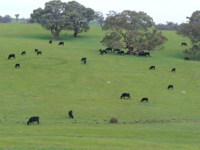 268 Metcalfe – Redesdale Rd,, Metcalfe VIC 3448