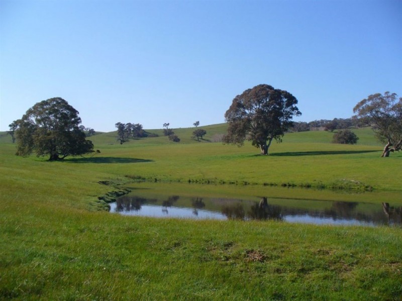 268 Metcalfe – Redesdale Rd,, Metcalfe VIC 3448