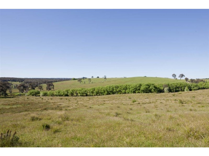 Lot 4 Lauriston Road, Drummond VIC 3461