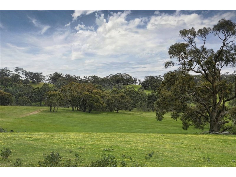 376 DALLISTONS ROAD, Barfold VIC 3444