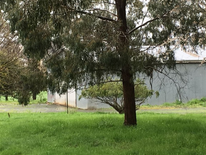 87 EBDEN STREET, Kyneton VIC 3444