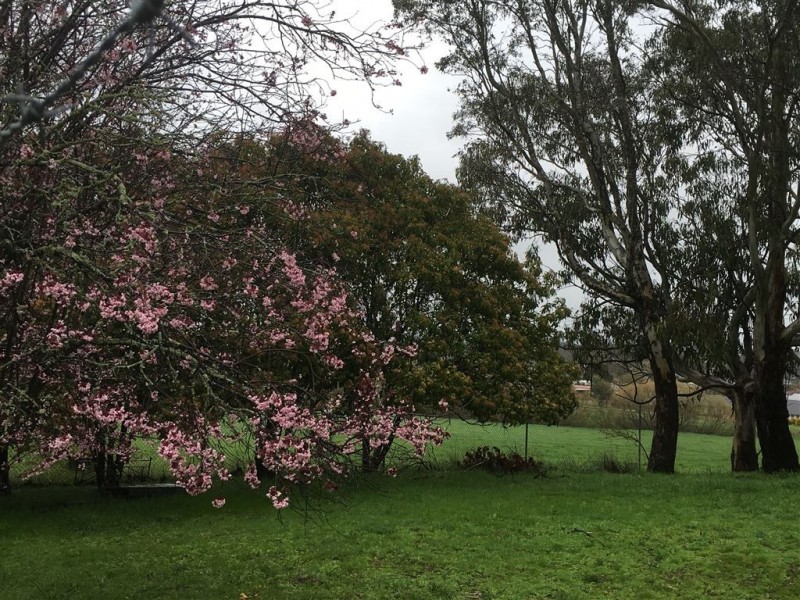 87 EBDEN STREET, Kyneton VIC 3444