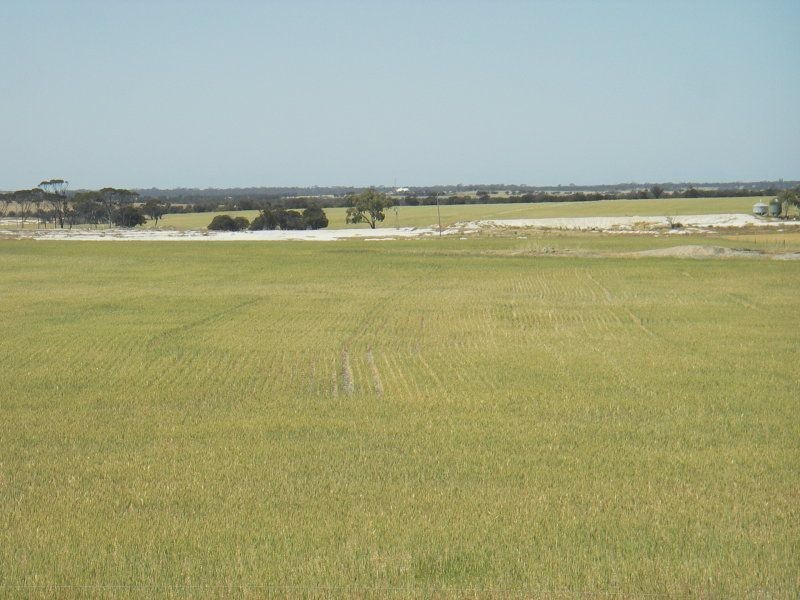 Ongerup WA 6336