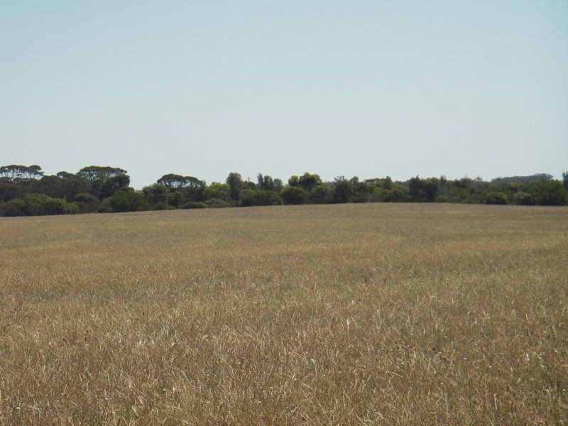 Ongerup WA 6336