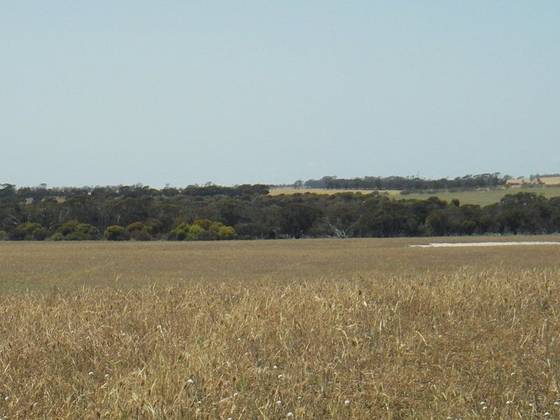 Ongerup WA 6336
