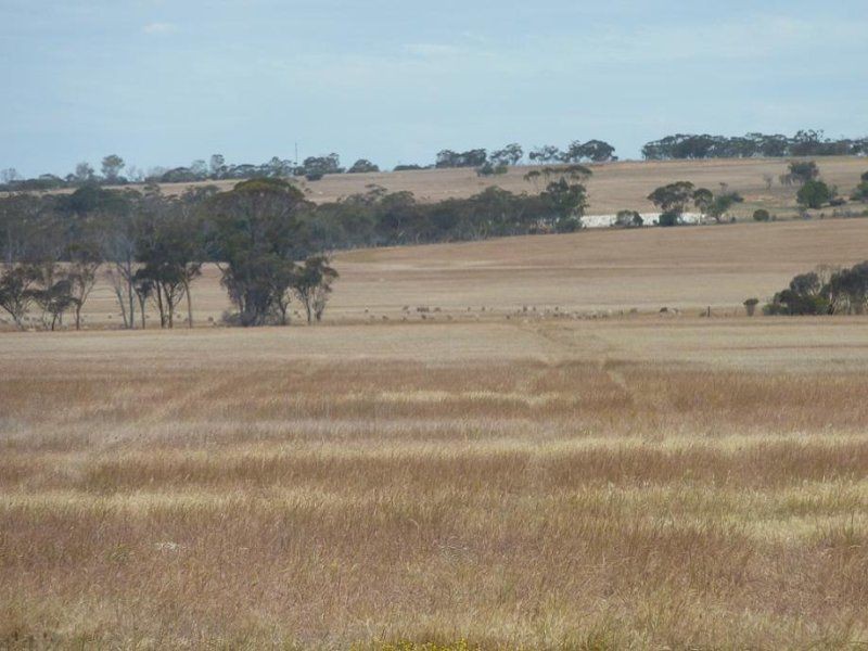 * Nungarin North Rd, Nungarin WA 6490