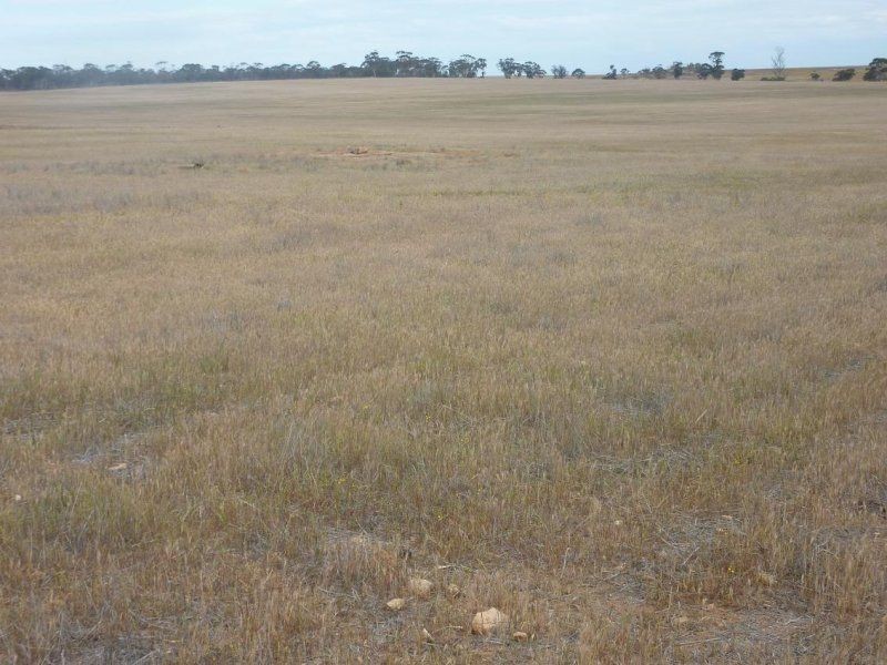 * Nungarin North Rd, Nungarin WA 6490