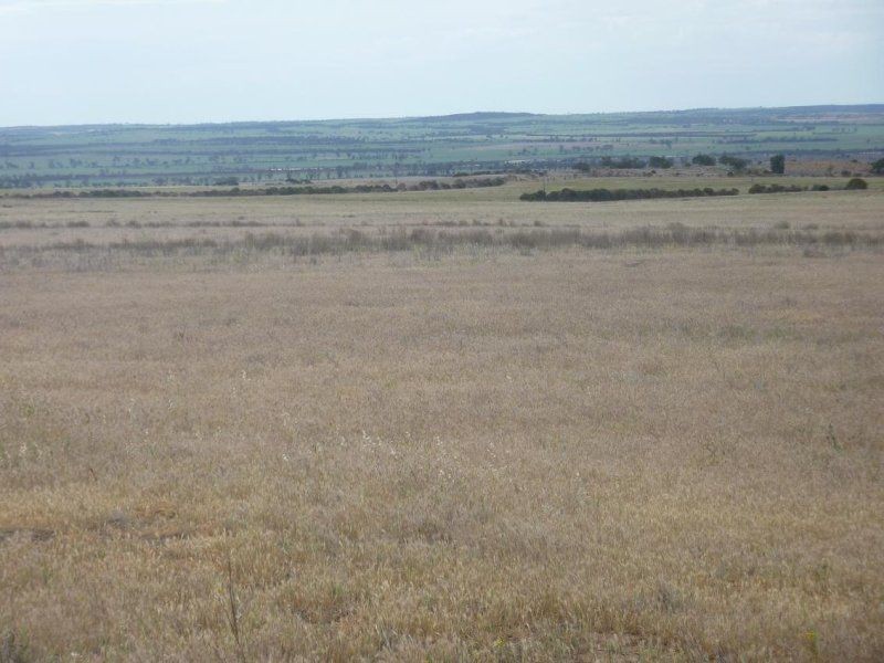 * Nungarin North Rd, Nungarin WA 6490