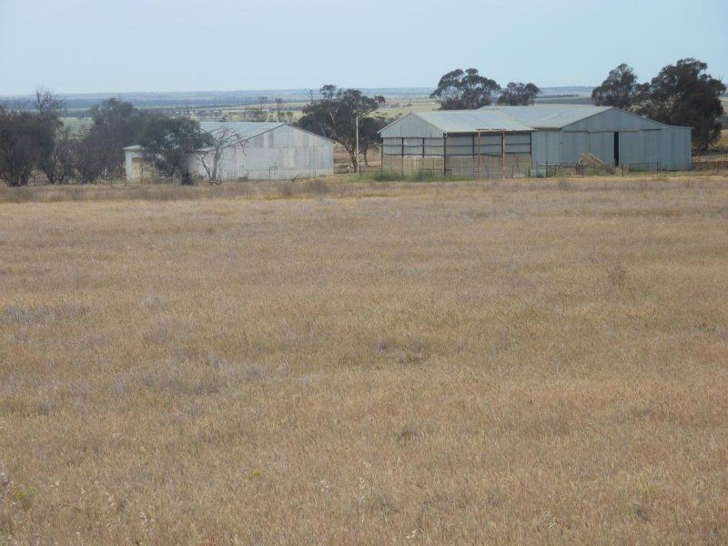 * Nungarin North Rd, Nungarin WA 6490