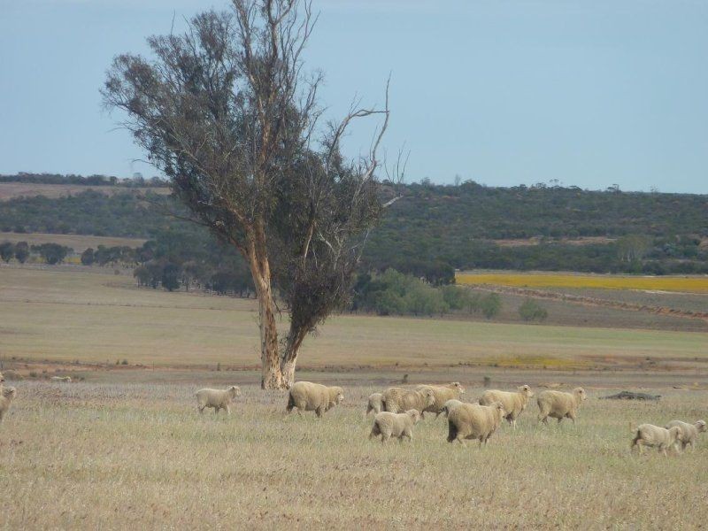 * Nungarin North Rd, Nungarin WA 6490