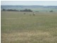 * Nungarin North Rd, Nungarin WA 6490