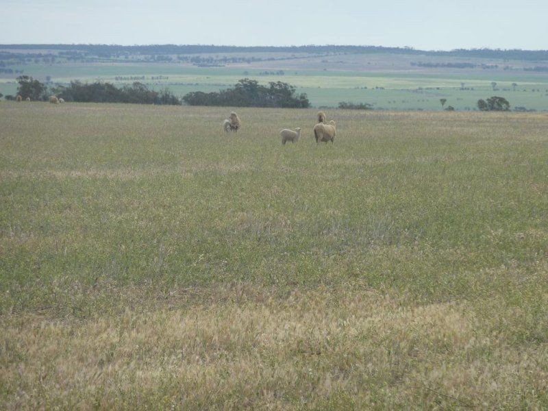 * Nungarin North Rd, Nungarin WA 6490