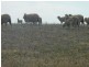* Nungarin North Rd, Nungarin WA 6490