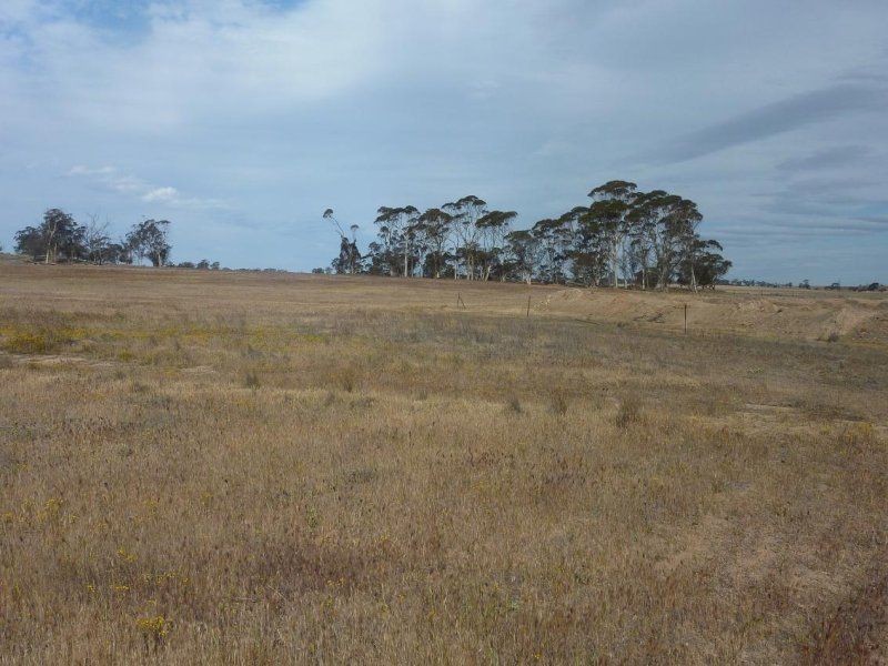 * Nungarin North Rd, Nungarin WA 6490