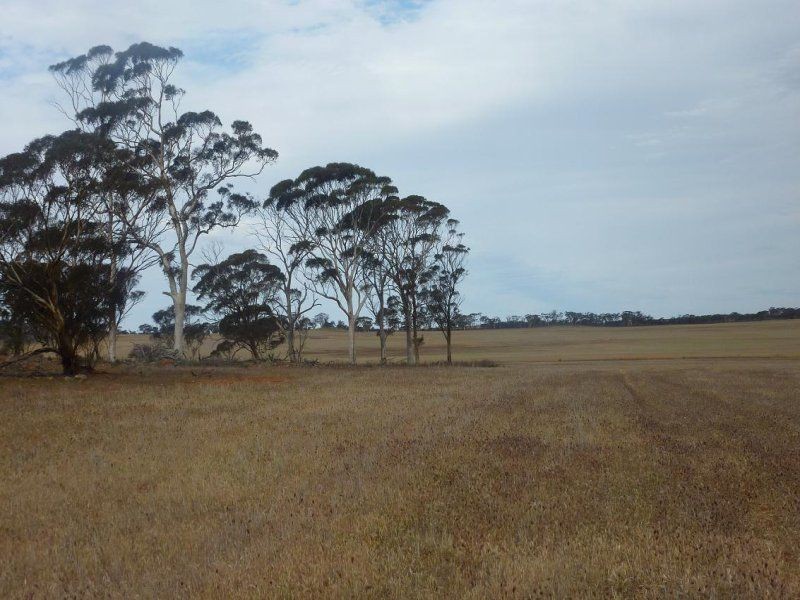 * Nungarin North Rd, Nungarin WA 6490