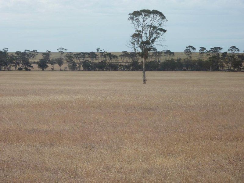 * Nungarin North Rd, Nungarin WA 6490