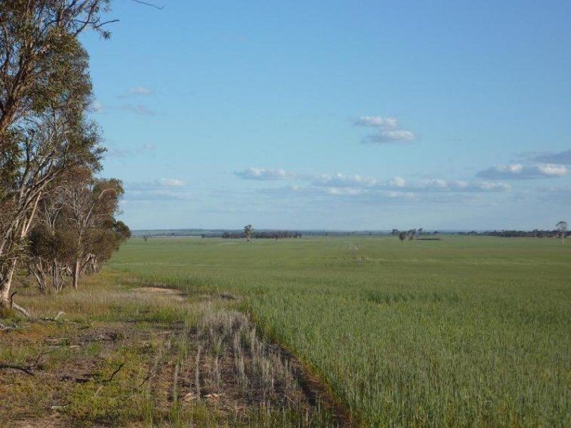 * Echo Valley Rd, Warralakin WA 6421