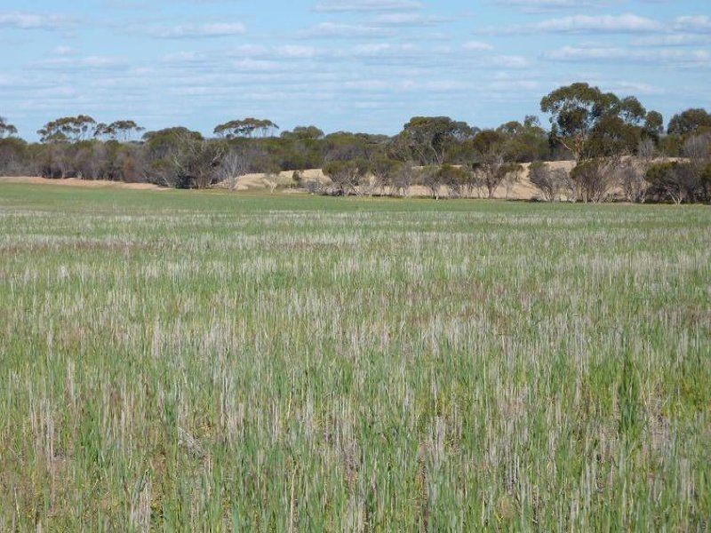 * Echo Valley Rd, Warralakin WA 6421