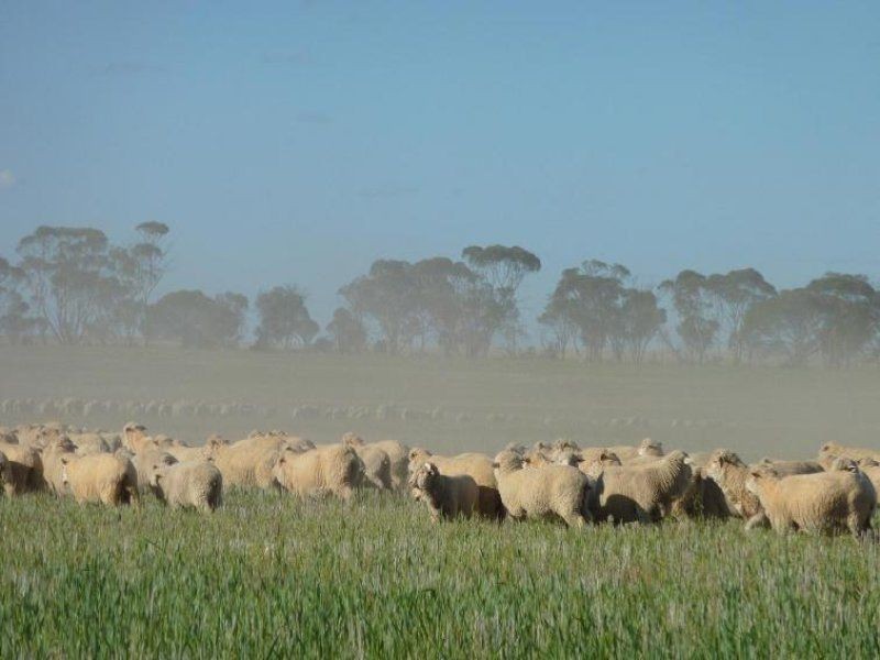 * Echo Valley Rd, Warralakin WA 6421