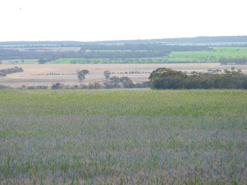 * Echo Valley Rd, Warralakin WA 6421