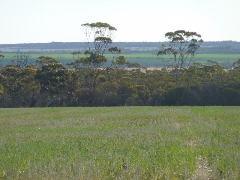 * Echo Valley Rd, Warralakin WA 6421