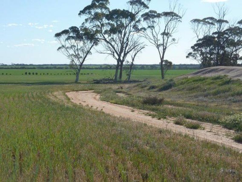 * Echo Valley Rd, Warralakin WA 6421