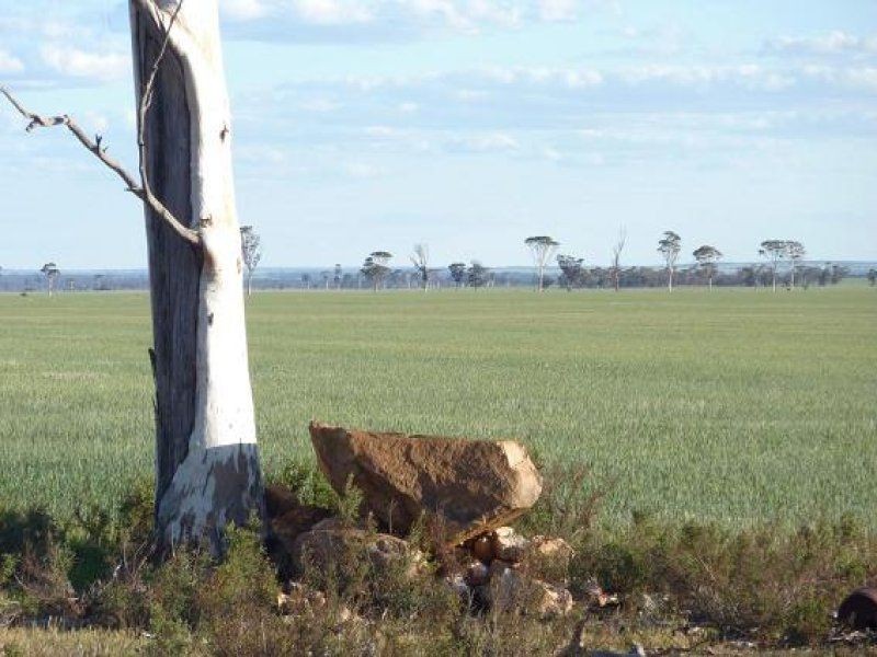 * Echo Valley Rd, Warralakin WA 6421