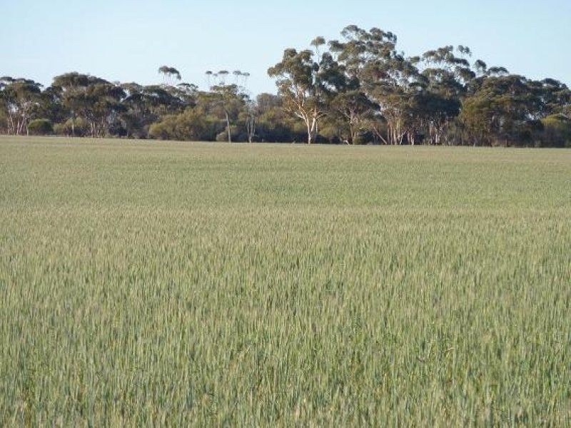 * Echo Valley Rd, Warralakin WA 6421