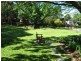 11/1-3 Coronation Avenue, Petersham NSW 2049