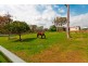 415 Tilley Road, Gumdale QLD 4154