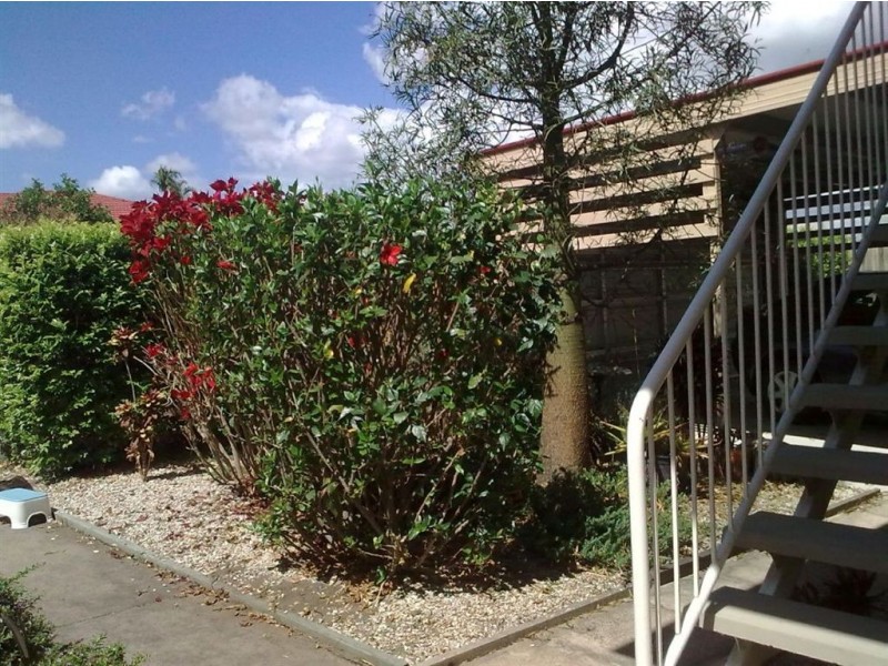 94B Caladium Street, Wakerley QLD 4154