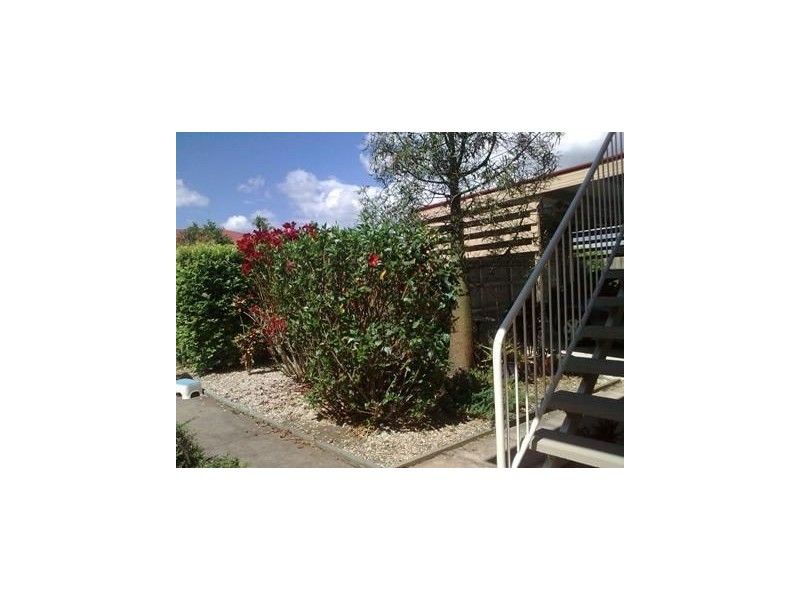 94A Caladium Street, Wakerley QLD 4154