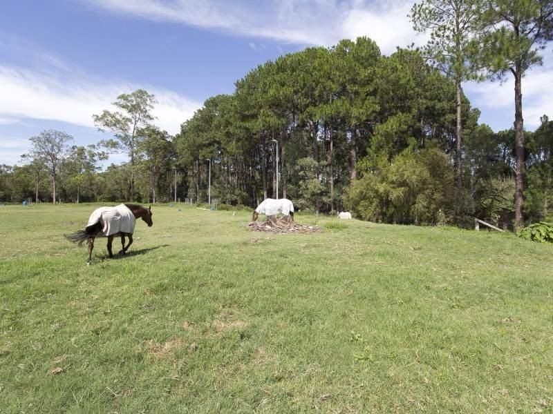 461 Formosa Road, Gumdale QLD 4154