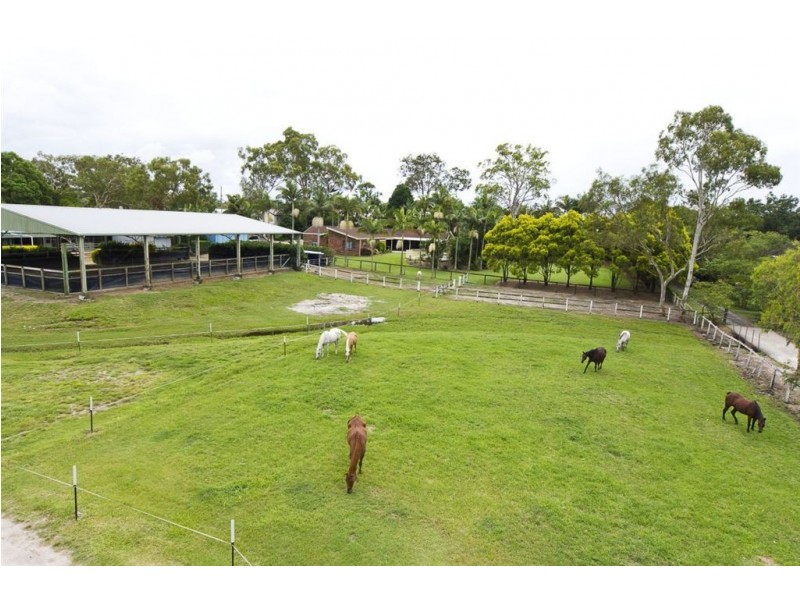 747 New Cleveland Road, Gumdale QLD 4154