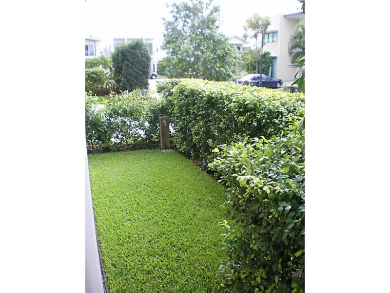 34 Shore Crescent, Bulimba QLD 4171