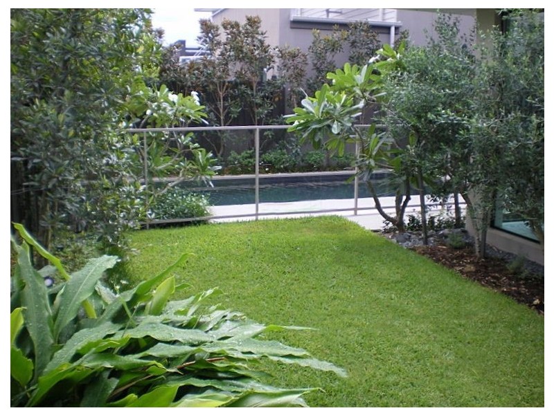 34 Shore Crescent, Bulimba QLD 4171