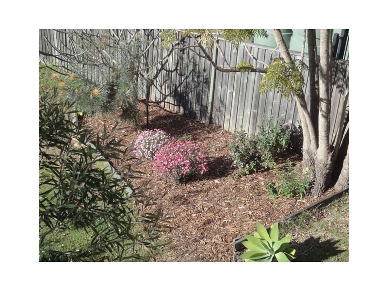 16 Manly Road, Manly QLD 4179