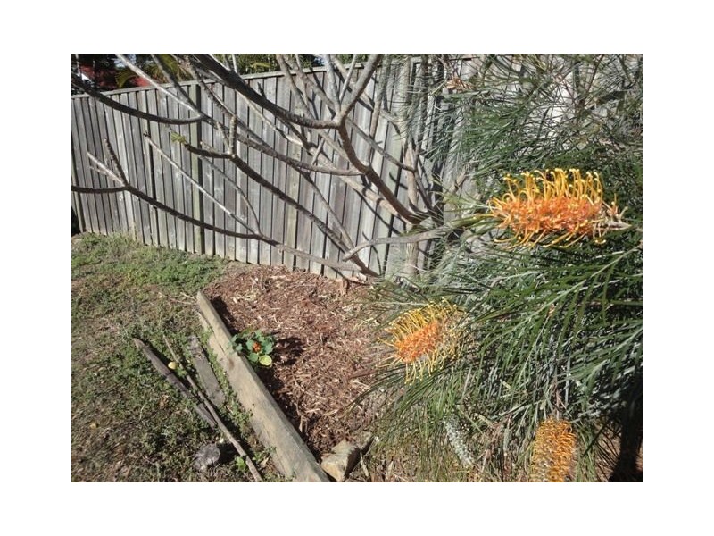 16 Manly Road, Manly QLD 4179