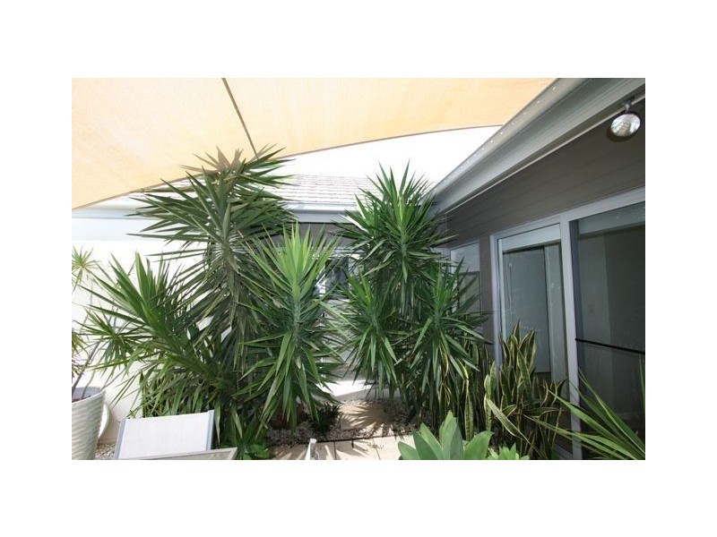 48 Mossvale Drive, Wakerley QLD 4154