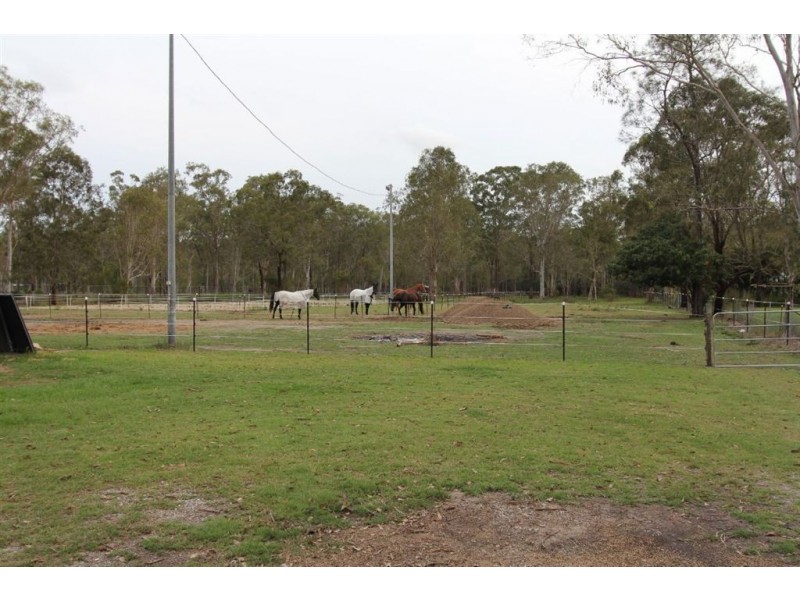 133 Molle Road, Ransome QLD 4154