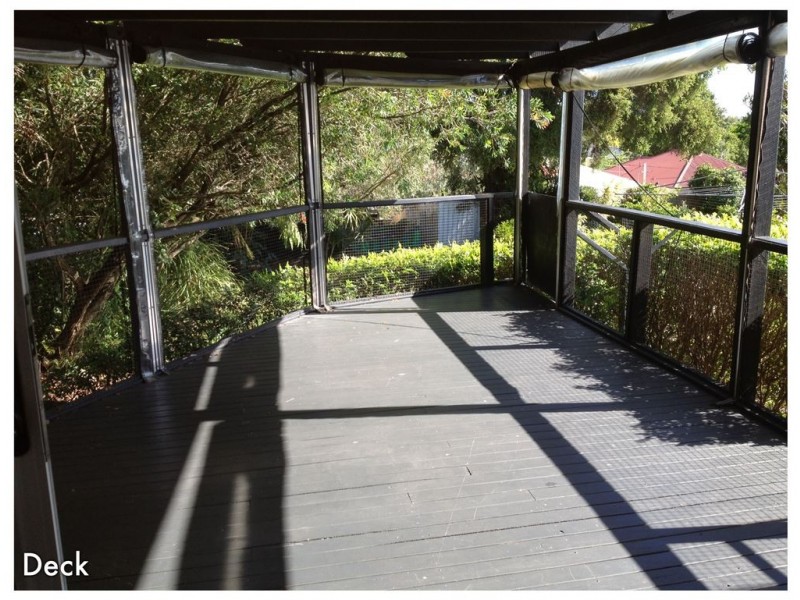 14 Parramatta Street, Manly QLD 4179