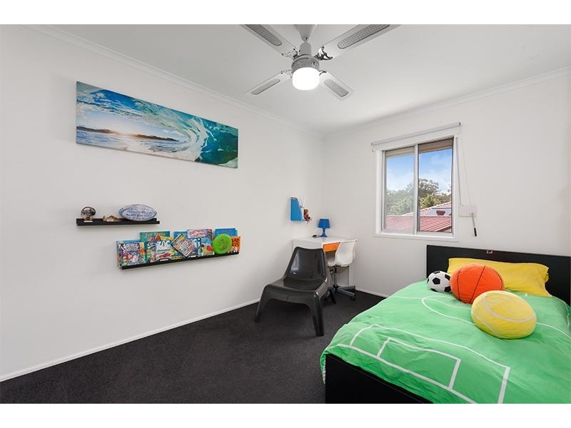 17 Tamarix Street, Alexandra Hills QLD 4161