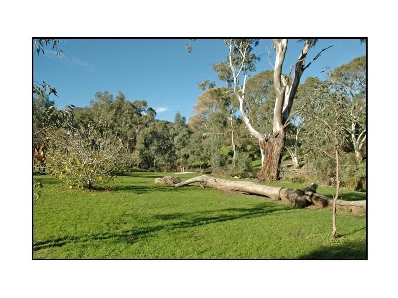 43 The Promenade, Highbury SA 5089